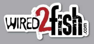 full-53891-94055-wired2fish